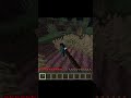 Minecraft Trend Funny #shorts #funny #trending #mortisaspect #trend