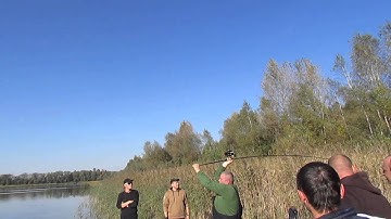 Prologic Fast Water 12,6ft, 4lb 6