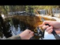 Прогулка со спиннингом🎣, снова неудача😭🤷♂️