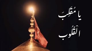 يا مقلب القلوب ثبت قلبي على حب الحسين | M.F