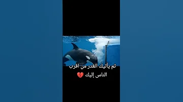 جيسيكا الدلفين وهو يلتهم صديقته جيسيكا لحظه اكل الدلفين جيسيكا 