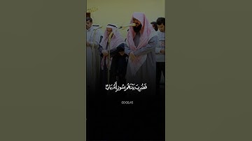 من هو القارئ المفضل لديك 🌹
