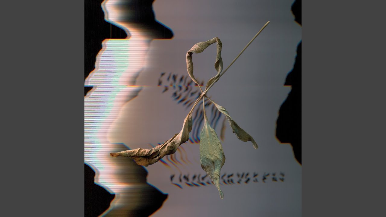 Watch Strewn on YouTube Watch Strewn on YouTube