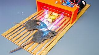 New Electric Mouse Trap Best Electric Mouse Trap Electronic Mouse Trap Mouse Sounds 2025