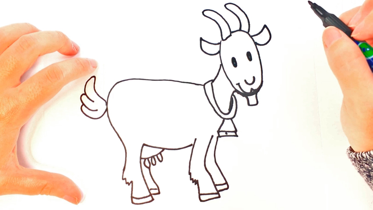 Best How To Draw Goat of all time Check it out now 