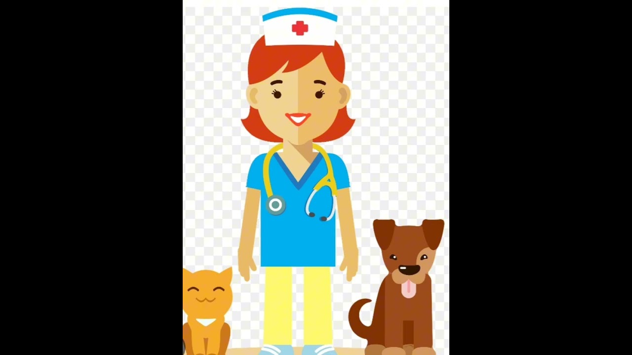 7-klass " Veterinar qanday kásip?". Avtor KENGESBAEVA MALIKA JENIS QÍZÍ. 2-v-kurs.