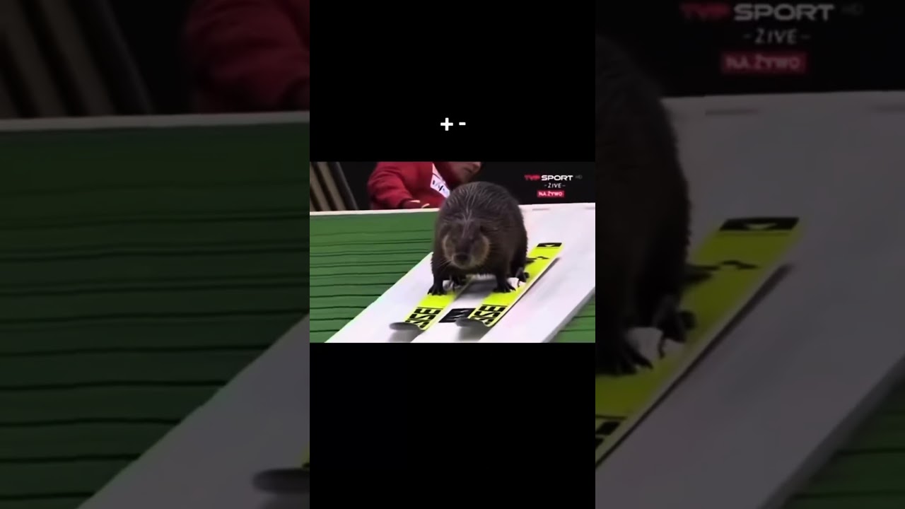 Хочешь кататься? Учись и катайся!+79641903411