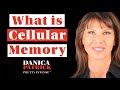 Caroline_Cory | What Is Cellular Memory | Clips 01 | Ep. 200