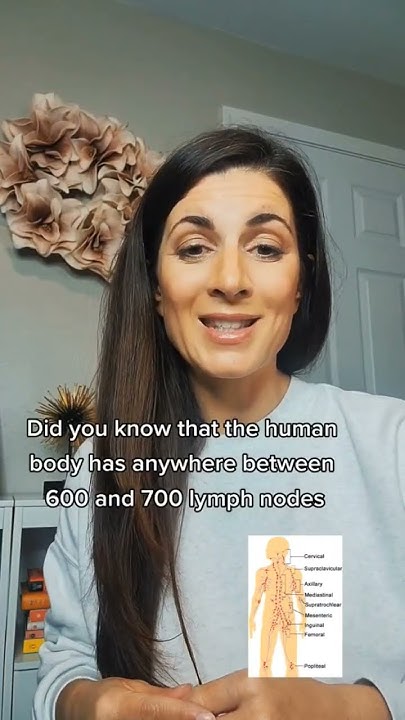 how-many-lymph-nodes-do-we-have-youtube