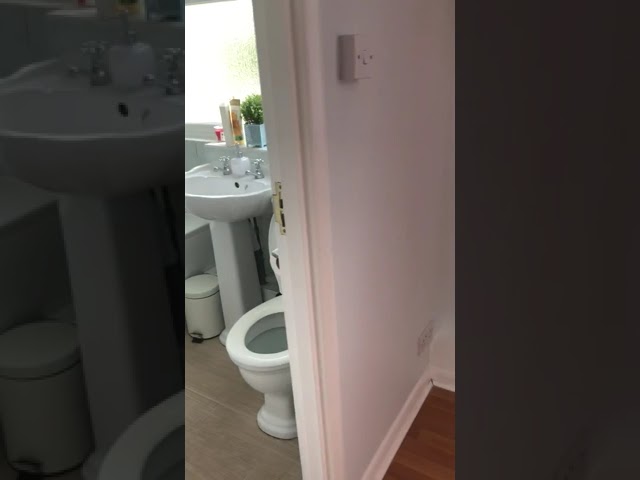 Video 1: