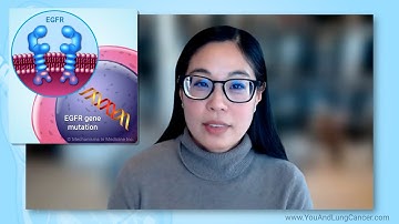 What is an EGFR mutation in lung cancer?