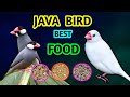 Java bird best food telugu || java bird best breeding food in telugu @Ganeshaquariumfishekakinada