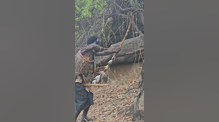 Menggunakan busur dan anak panah buatan tangan untuk berburu makanan mereka #sukuafrican #hidup #kehidupandesa