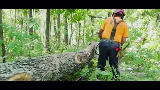 Do you have what it takes to be a logger! MFPA Logging School