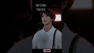 Two Idols Who Look The Same - Straykidsxdinary Heroes Beafangirl 97