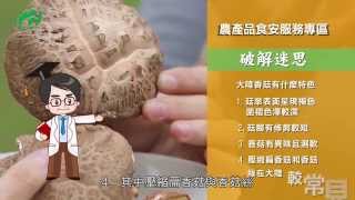 食安問題-香菇(動畫版)-如何辨別國產和大陸香菇？