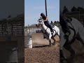 #nsca #omoksee #horse #horseshow #western #westernriding #youtubeshorts #subscribe #equestrian
