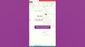 One-Click Excel Border Hack: Elevate Your Spreadsheet Style Instantly | #excel #shorts #viral