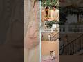 Ali Dayan and Wajiha Zaidi wedding photoshoot ❤️#trending #wedding #alidayan #pakistaniactor