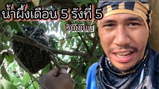 EP16: วิถีเซียน II น้ำผึ้งเดือน 5 รังที่ 5