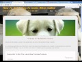 Dog Training Forum | Most Featured-Filled Dog Training Forum Dog Training Forum | Most Featured-Filled Dog Training Forum