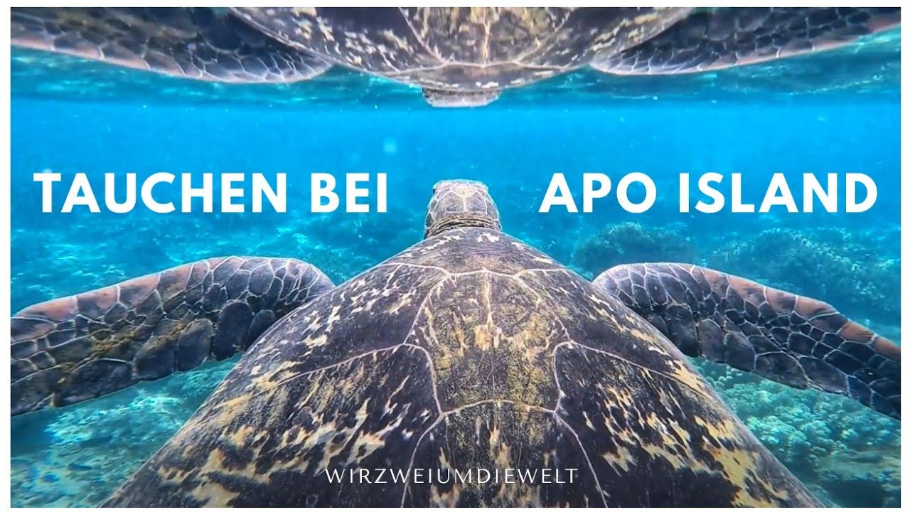 WELTREISE-VLOG#119 Tauchen vor Apo Island - Great Dive