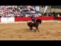 RAFAEL ARCOS GANADOR CAMPEONATO DE ESPAÑA DOMA VAQUERA 2014