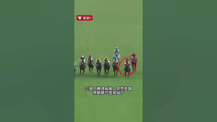沙田马场连环堕马 马匹当场被人道毁灭😭 #shorts ｜香港V - 天天要闻