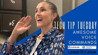 How To Use Voice Commands In Your Lexus - Tech Tip Tuesday screenshot 4