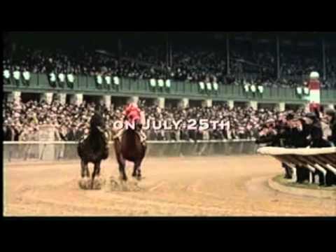 Vidéo: American Mustang Horse Race Hypoallergénique, Santé Et Durée De Vie