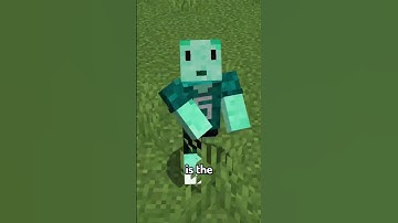 The Most Insane Minecraft Maps Ever Made