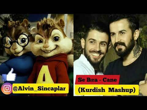 Se Bıra - Cane  Kurdish Mashup (Alvin Ve Sincaplar)