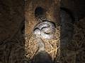 MicroCameraonSnakePOVInsideUndergroundBurrow🐍