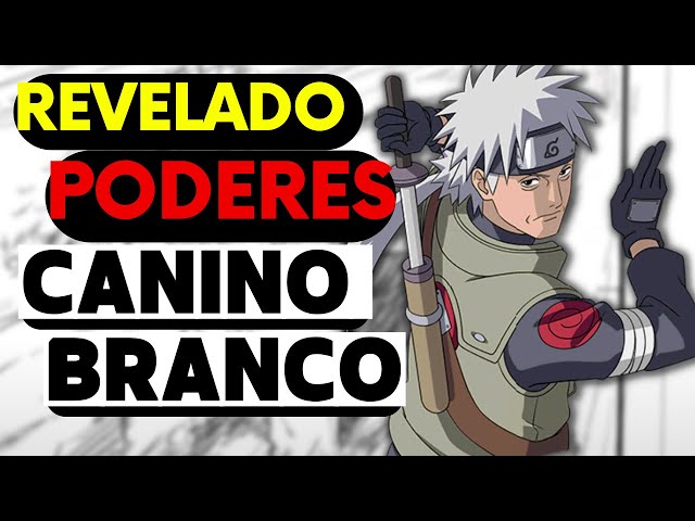 BOMBA! REVELADO OS PODERES DO CANINO BRANCO - SAKUMO HATAKE! 