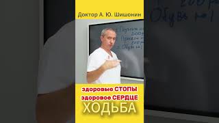 ХОДЬБА.Здоровые СТОПЫ-здоровое СЕРДЦЕ