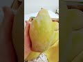 Big And Fresh Mango ЁЯен ЁЯШЛ Lolibevlog Big And Fresh Mango ЁЯен ЁЯШЛ Lolibevlog