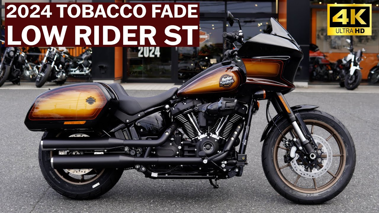 新品　ゴールドディープハーフシールド　インパラ　　　　ローライダー 新品 ゴールドディープハーフシールド インパラ ローライダー