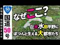 【地理雑学】巨大な水田平野・関東平野にぽつりぽつりと浮かぶ大都市。なぜそこで発展した？都市地理学はじめの一歩！/国道50号/関東地方/栃木県/群馬県/茨城県