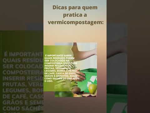 Vídeo: Vermicultura Insetos - O que fazer para insetos em vermicomposto