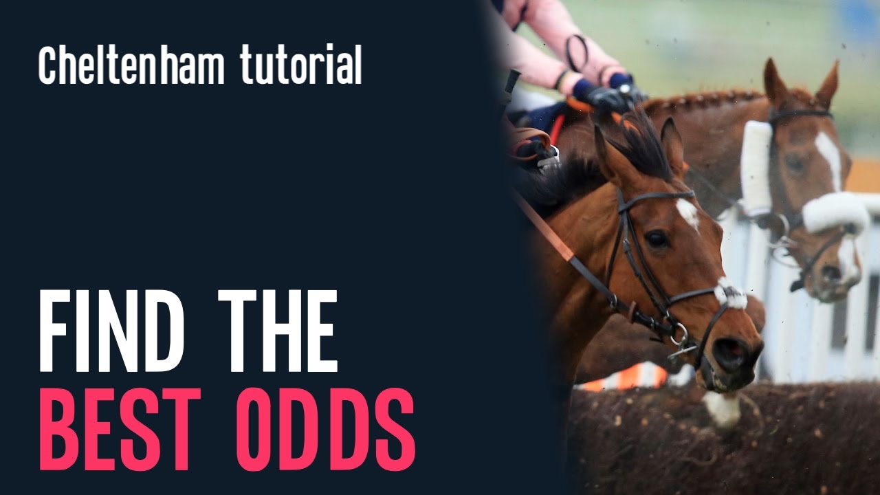 Find The Best Odds Find The Best Odds