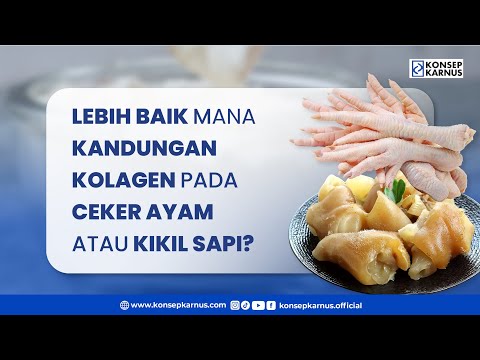Kolagen Pada Ceker Ayam
