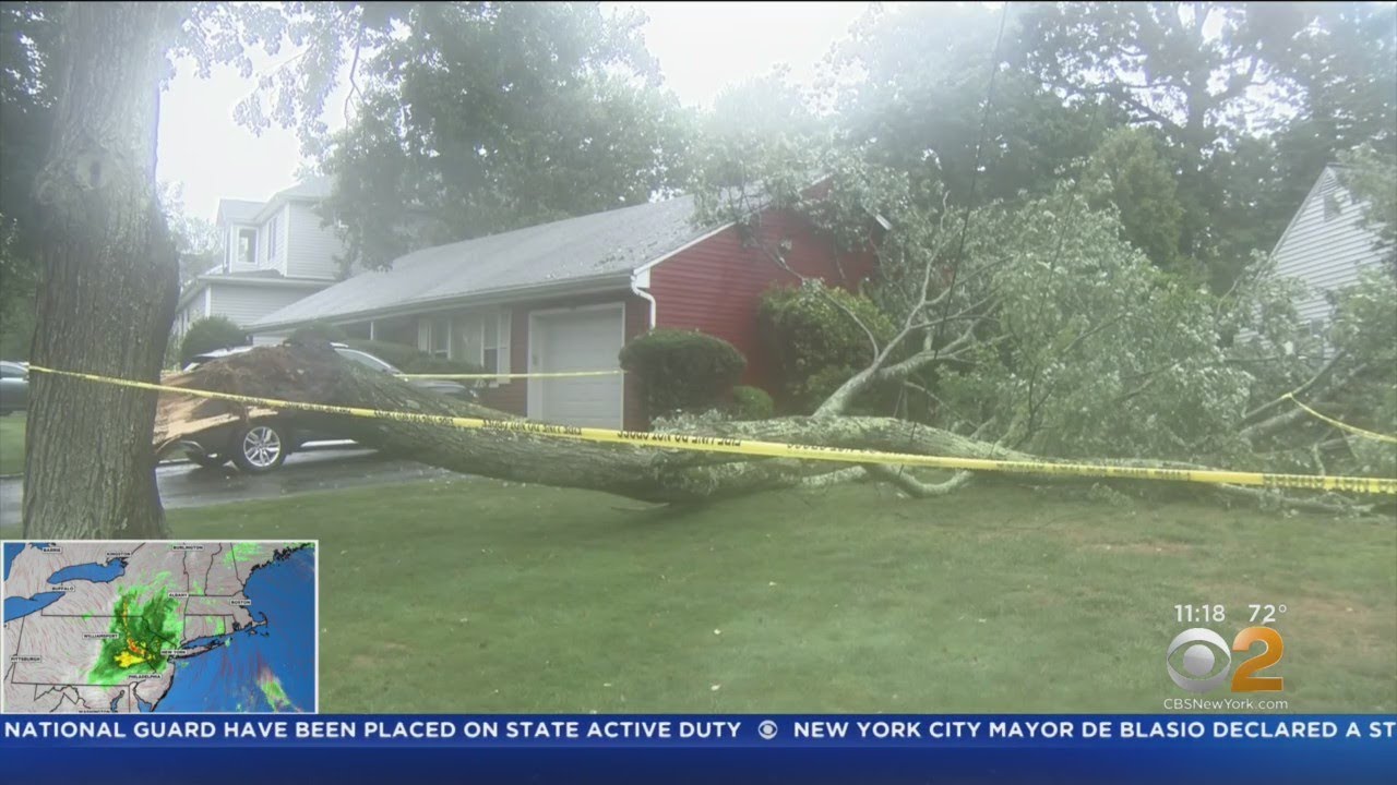 Henri's Impact: Flash Flooding, Toppled Trees Cause Problems In Northern New Jersey