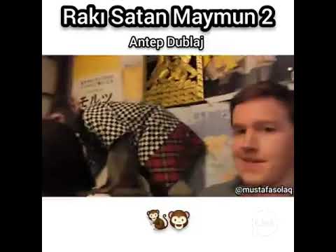 raki satan maymun antep dublaj 2