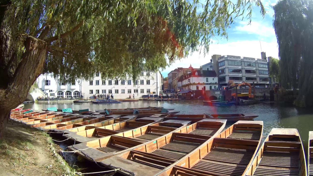 Boat hire in Cambridge, UK (79) RoyaltyFree Stock Video Footage