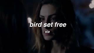 bird set free - sia (slowed + reverb)