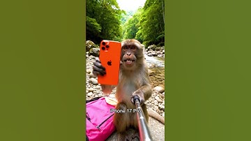 Pink Monkey | Unboxing iPhone 17 Pro? 🐵🐵 #Shorts #AetherIon586 #India #monkey #cute #pinkmonkey