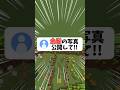 金髪の写真見せて！#shorts #マイクラ