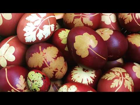 Vídeo: Como pintar ovos para a Páscoa de 2022 em cascas de cebola e verde brilhante