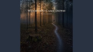 When You Came Down
