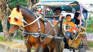 KUDA DELMAN 🎯 Delman Cikunir || andong || bendi || dokar || horse drawn carriage || ridding a horse